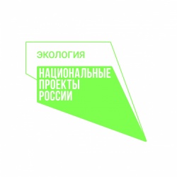 Экология