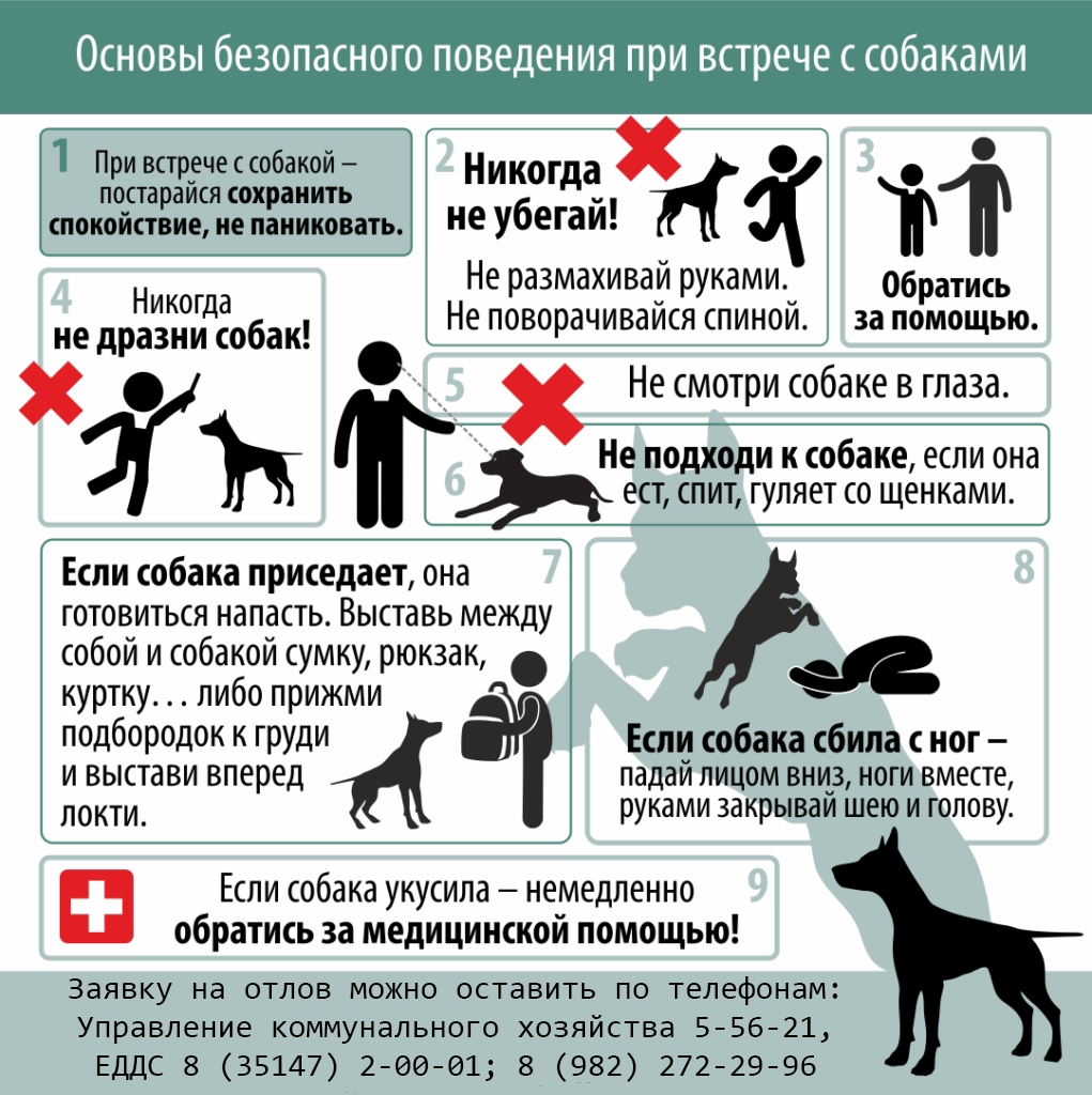  Внимание, жители Катав-Ивановского муниципального округа!