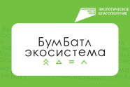 БумБатл